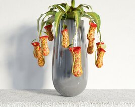 Pitcher Plant Display in Glass Vase 3D 모델 
