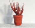 Red Potted Decorative Plant Modello 3D