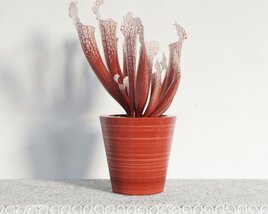 Red Potted Decorative Plant 3D model