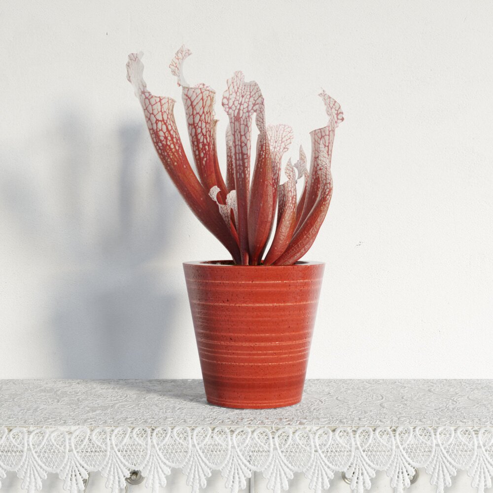 Red Potted Decorative Plant Modello 3D