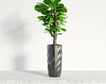 Striped Vase with Ficus Plant Modèle 3d