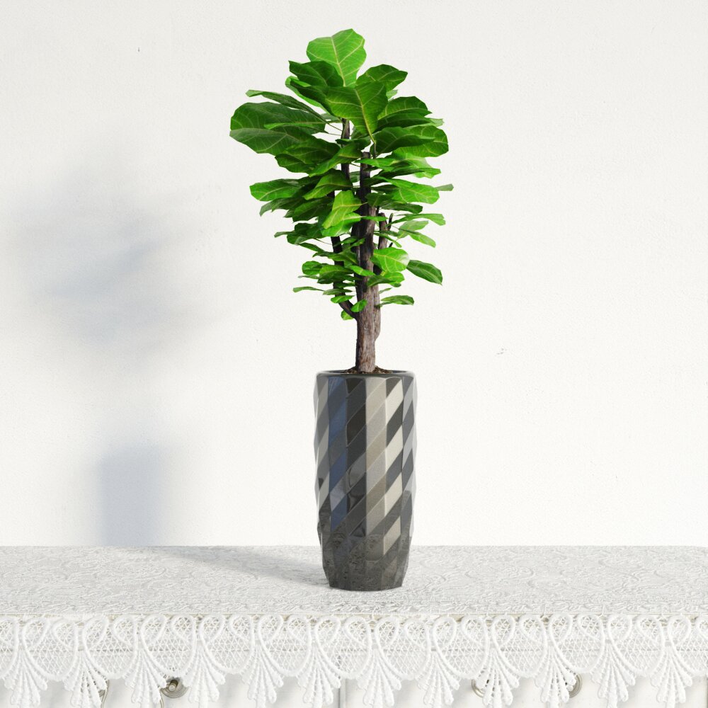 Striped Vase with Ficus Plant 3d model