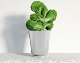 Green Plant in a White Pot 3D 모델 