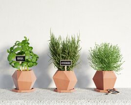 Geometric Planter Herb Collection Modelo 3d