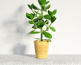 Potted Green Plant 02 3D model