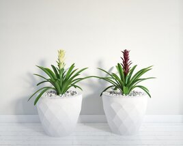 Geometric Potted Plants Modèle 3D