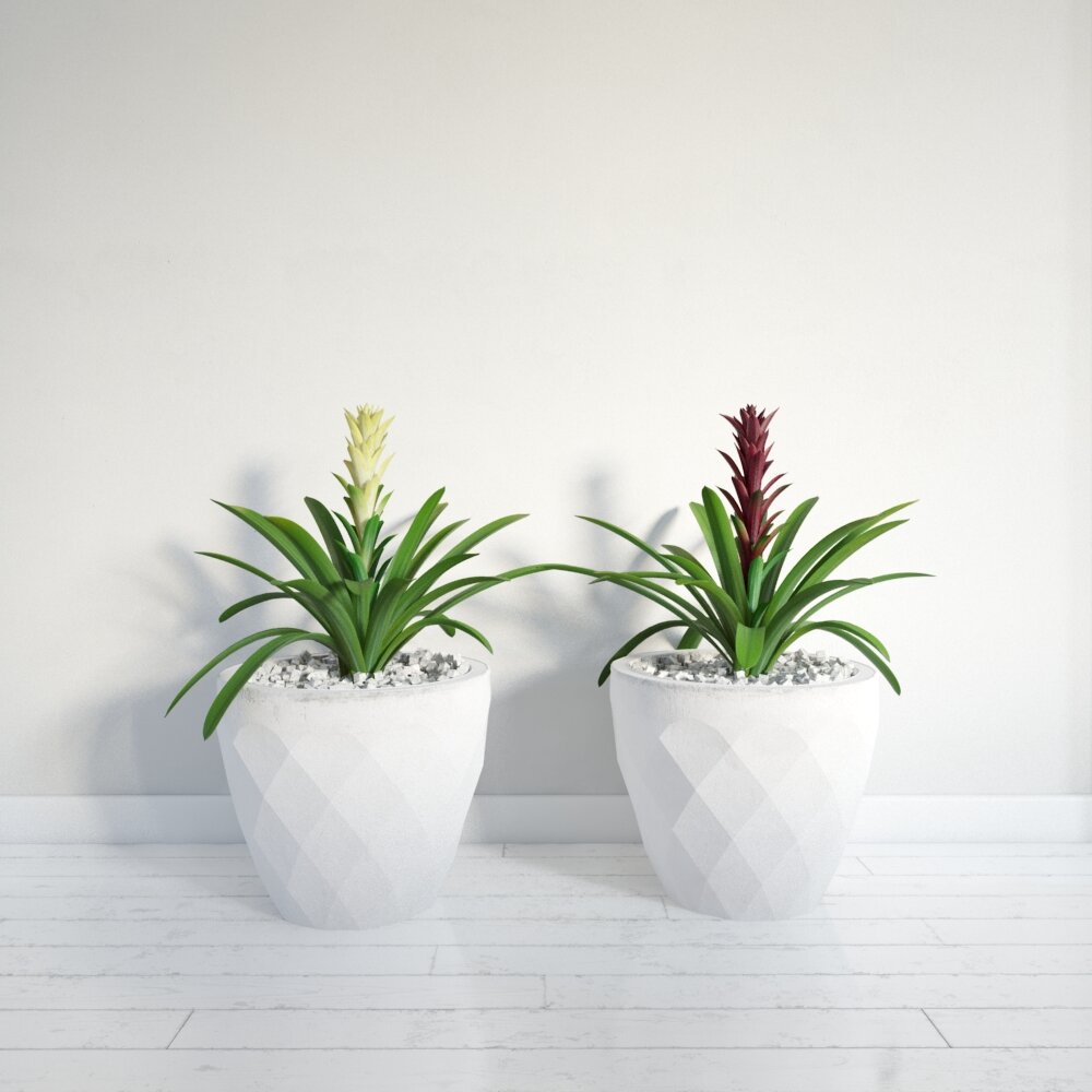 Geometric Potted Plants 3D модель
