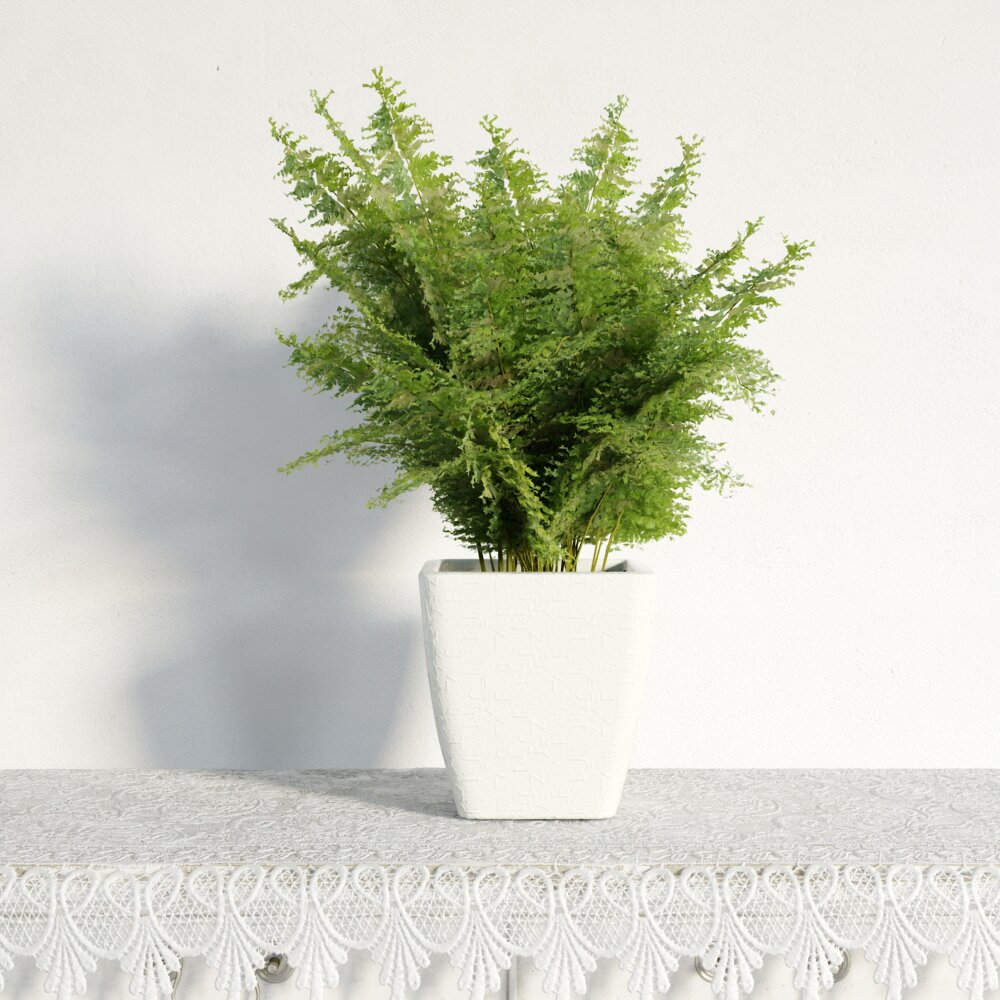 Indoor Fern Plant in White Pot 3D 모델 