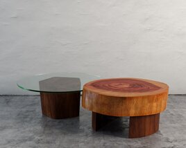 Contemporary Coffee Tables Modelo 3d