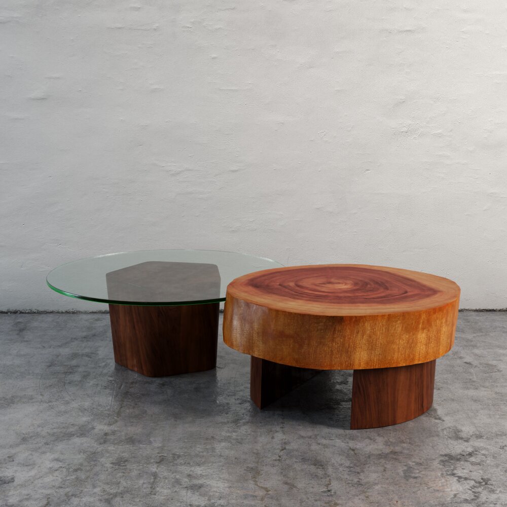 Contemporary Coffee Tables Modello 3D