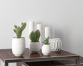Modern Vases and Cacti Collection 3d model