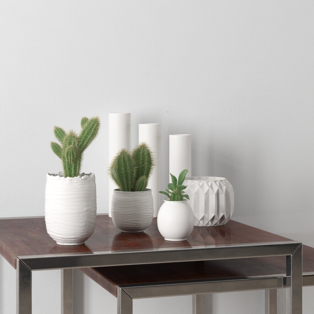 Modern Vases and Cacti Collection Modèle 3d
