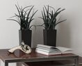Modern Home Decor Plants and Books 3D 모델 