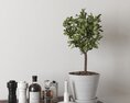 Potted Houseplant on Table 3D 모델 