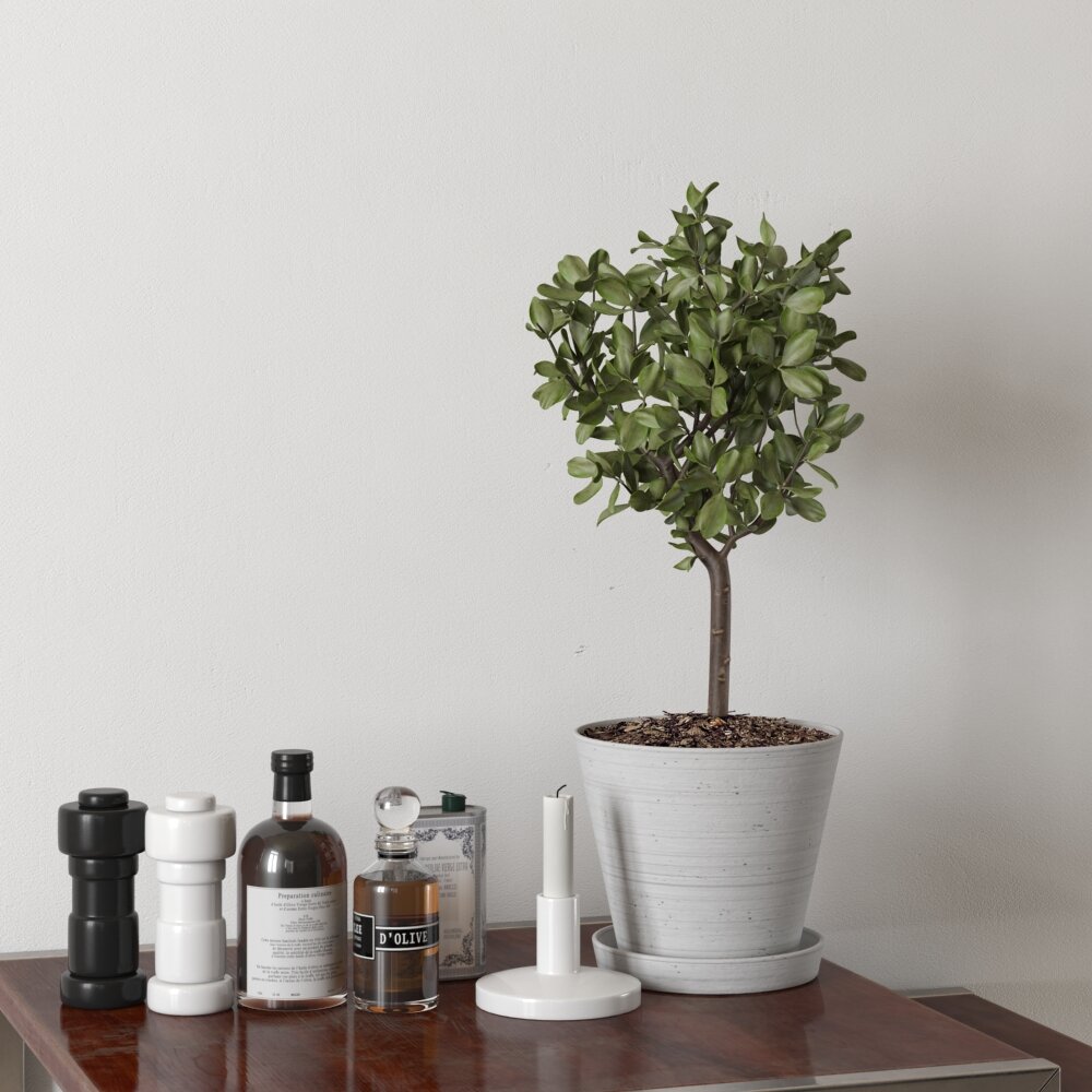 Potted Houseplant on Table Modelo 3D