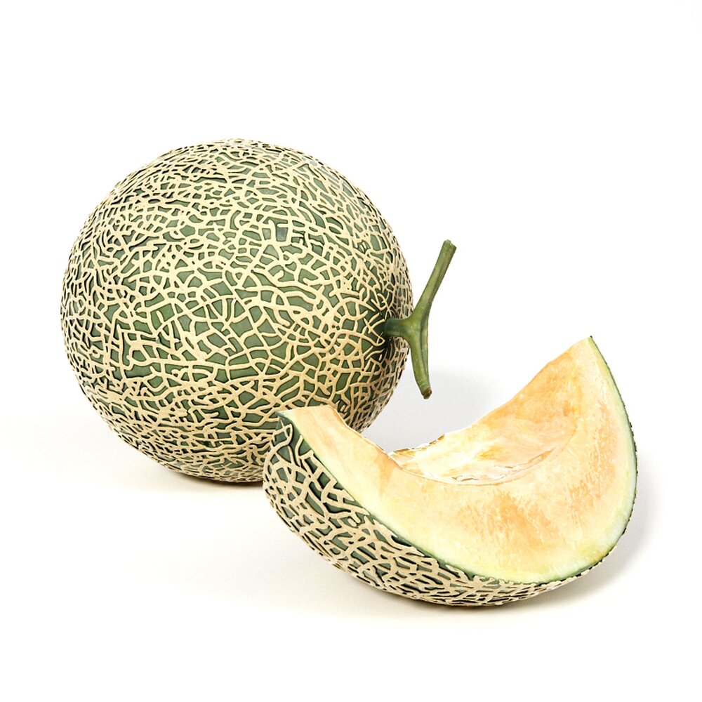 Fresh Melon Modelo 3D