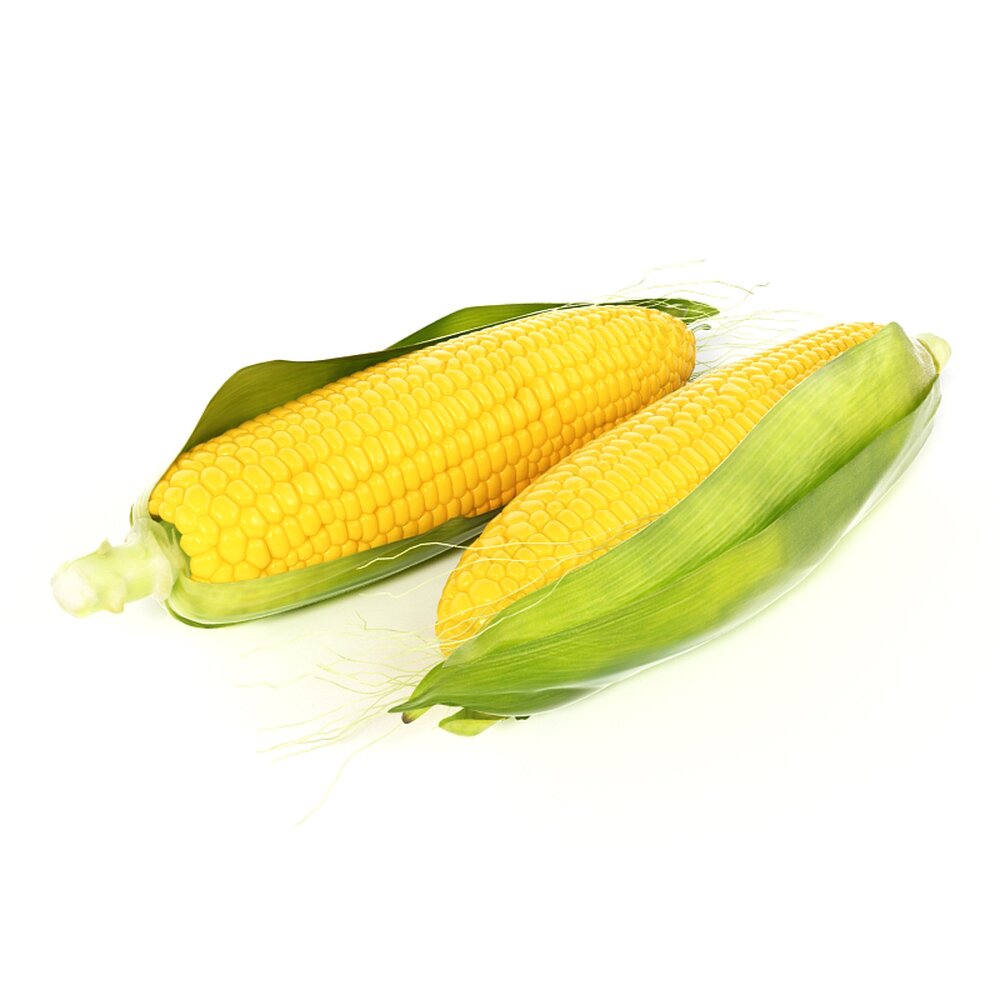 Fresh Corn Cobs 3D-Modell