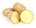 Fresh Potatoes Modèle 3d
