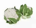 Fresh Cauliflower Modello 3D