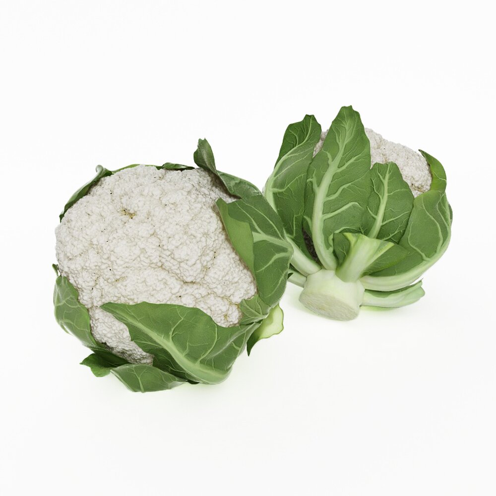 Fresh Cauliflower 3D модель