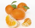 Fresh Citrus Delight 3d model