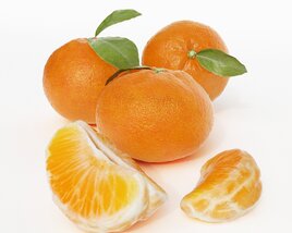 Fresh Citrus Delight 3D 모델 