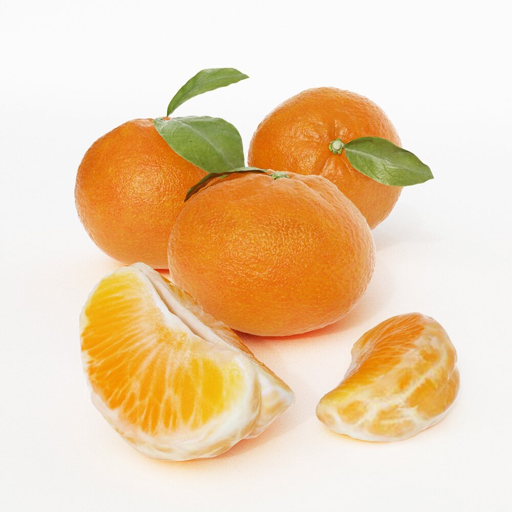 Fresh Citrus Delight 3D模型