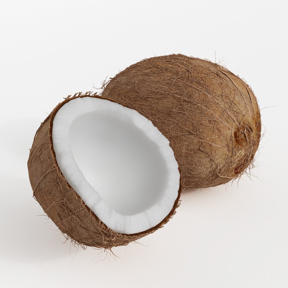 Whole and Halved Coconut 3Dモデル