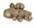 Whole Ginger Root 3D 모델 