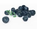 Fresh Blueberries Modello 3D