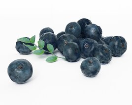 Fresh Blueberries 3D模型