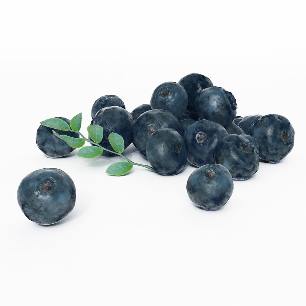 Fresh Blueberries 3D 모델 