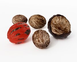 Assorted Nutmeg Seeds 3D 모델 