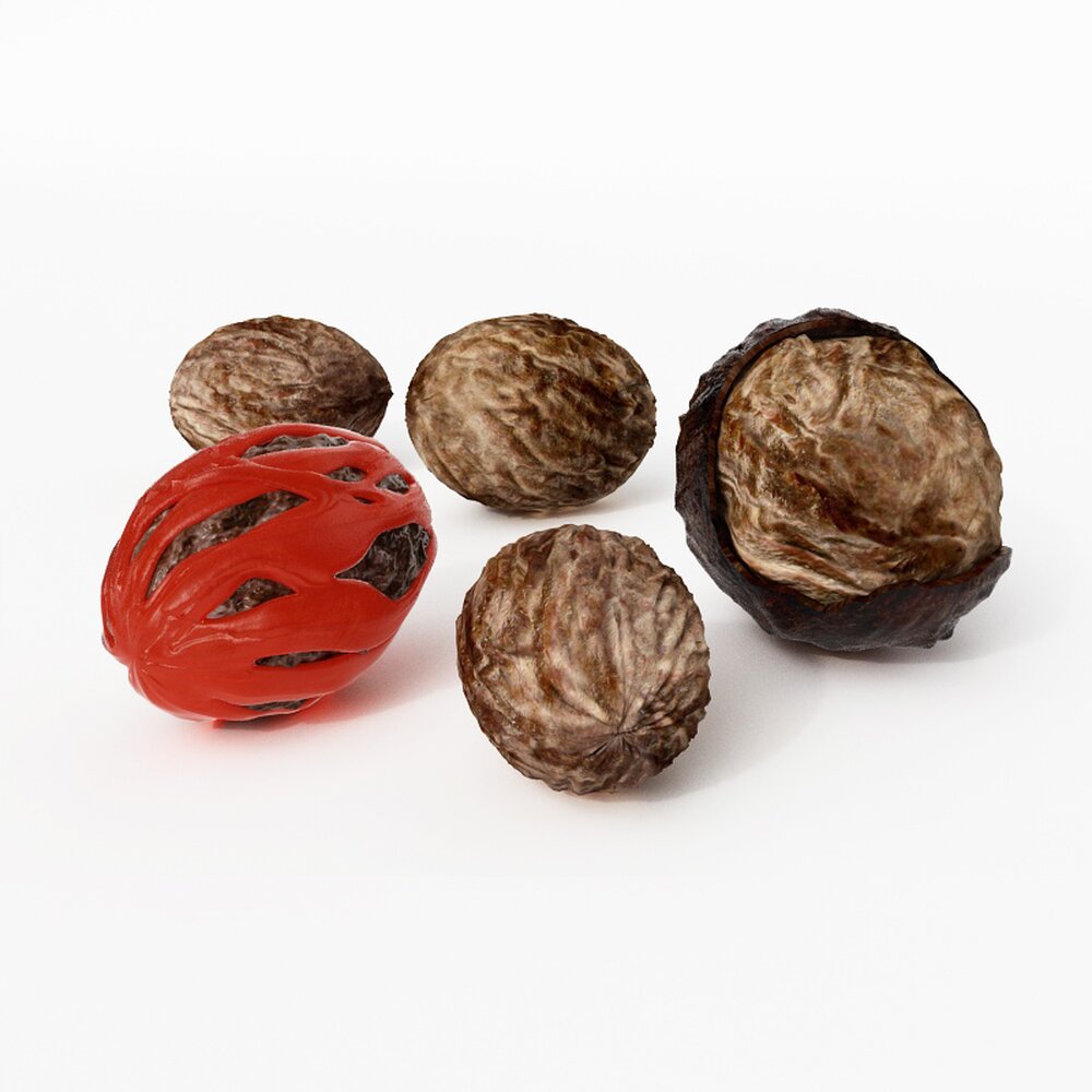 Assorted Nutmeg Seeds 3D model