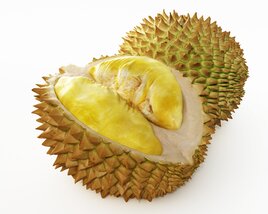 Fresh Durian Fruit 3D модель