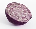 Purple Cabbage Cross-Section Modèle 3d