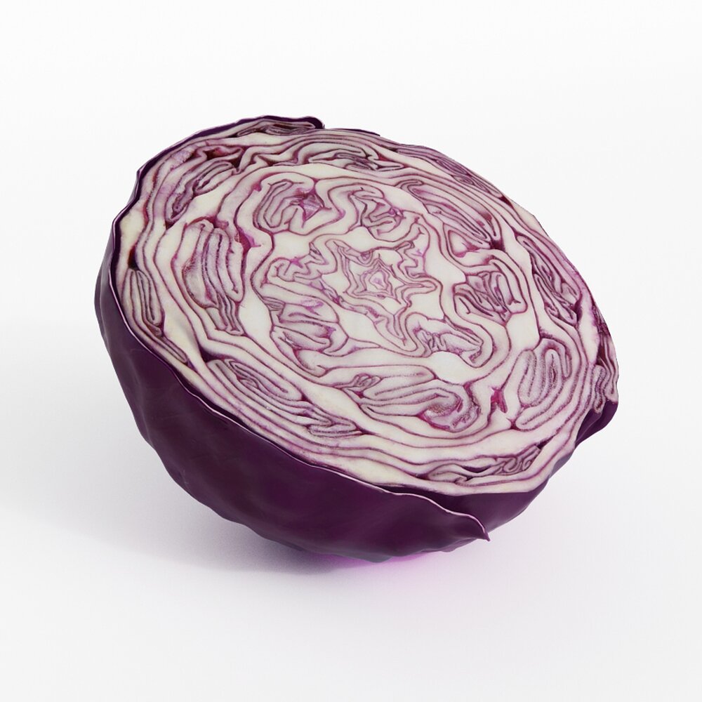 Purple Cabbage Cross-Section 3D 모델 