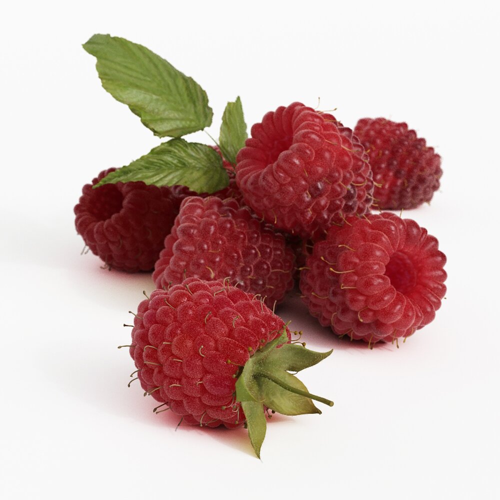 Fresh Raspberries Modello 3D