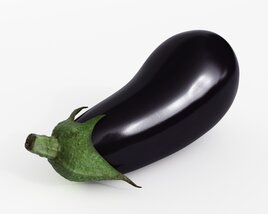 Glossy Eggplant 3D 모델 