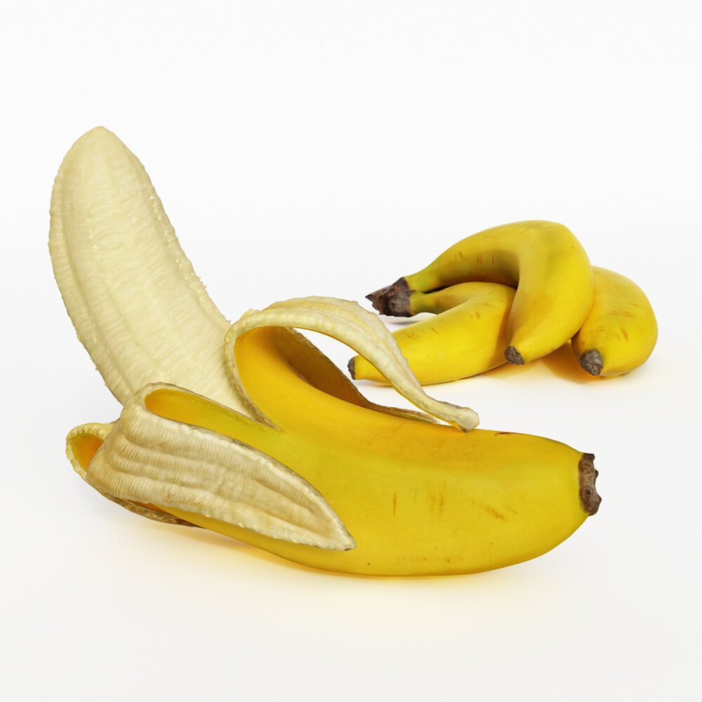 Banana and Bunch 3D 모델 