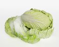 Fresh Green Cabbage 3D模型