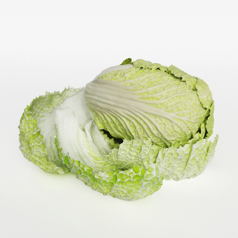 Fresh Green Cabbage Modelo 3d