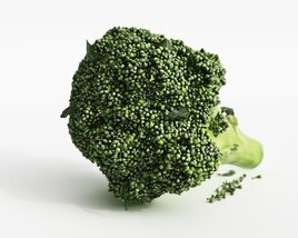 Fresh Broccoli 3D модель