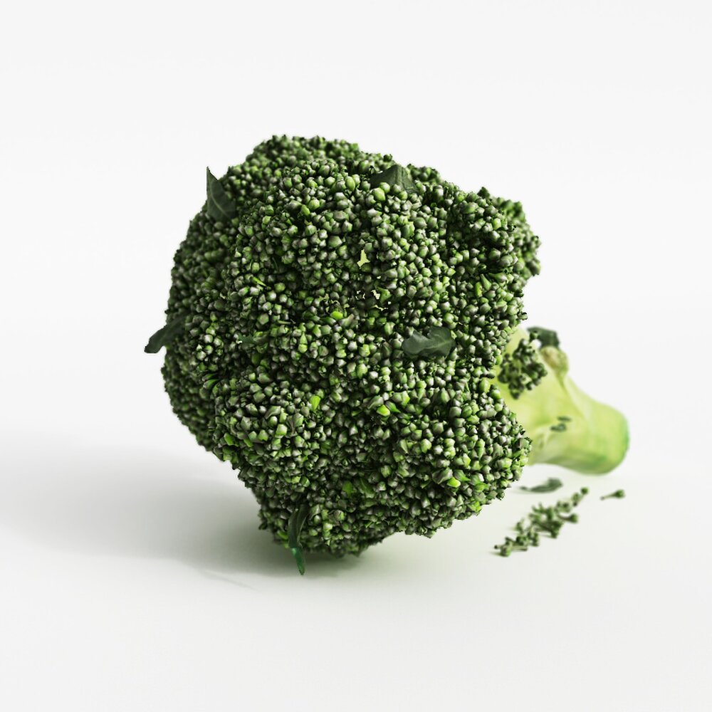 Fresh Broccoli Modello 3D