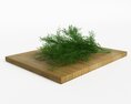 Wooden Cutting Board with Fresh Dill 3d model