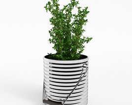 Thyme Potted Herb Plant Modello 3D