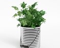 Fresh Potted Parsley Modelo 3d