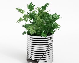 Fresh Potted Parsley 3D-Modell