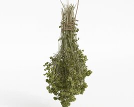 Oregano Herbs 3D 모델 