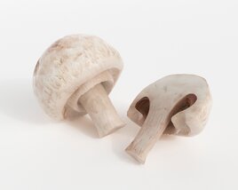 White Mushrooms 3Dモデル